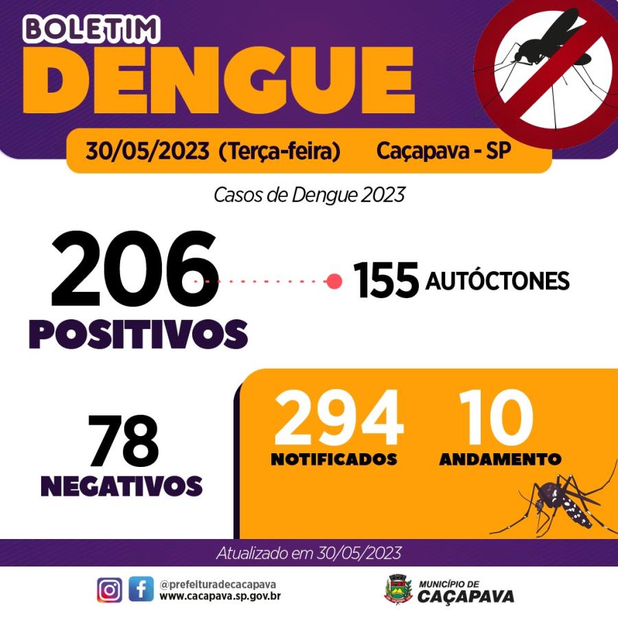 Boletim Dengue - 31 de maio de 2023