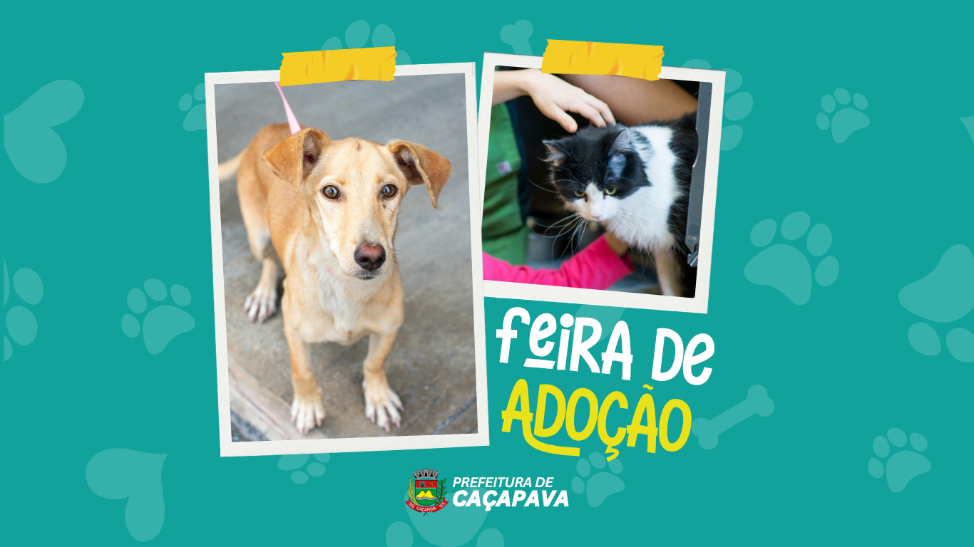 Feira de Adoção acontece no dia 02 de agosto na Praça da Bandeira