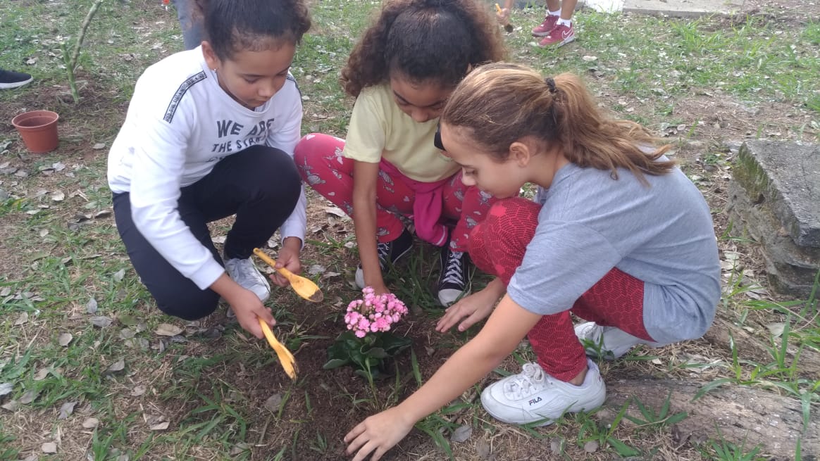 Escola Lindolpho Machado realiza plantio de cerca de 100 mudas no jardim escolar
