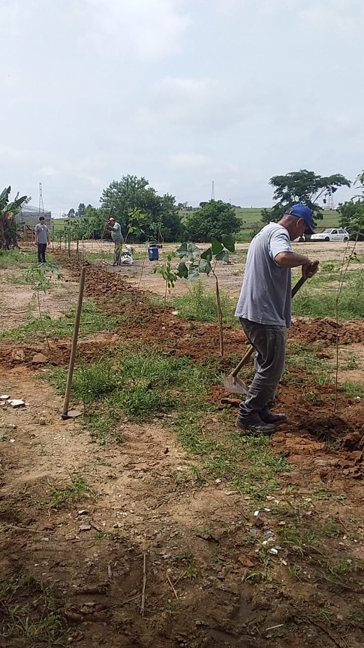 Prefeitura realiza plantio de árvores no Parque Residencial Esperança