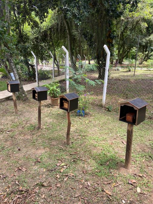 Parque da Moçota obtém autorização para meliponário e inicia manejo de Abelhas Nativas sem Ferrão