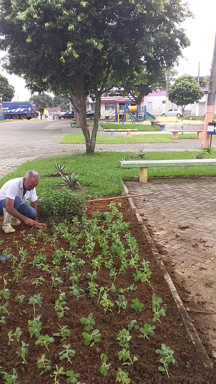 Prefeitura segue com projeto de jardinagem em praças da Vila Santa Isabel