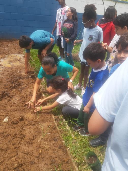 EMEF Eliel de Almeida Martins realiza plantio de árvores frutíferas com alunos do 5º ano A e B