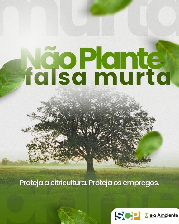 🚫 NÃO PLANTE FALSA MURTA! 🌳🍊