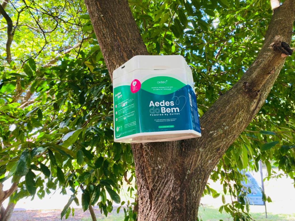 TATUÍ INOVA NO COMBATE À DENGUE E INICIA IMPLANTAÇÃO DO “AEDES DO BEM” NA PRÓXIMA SEGUNDA-FEIRA (9/2)