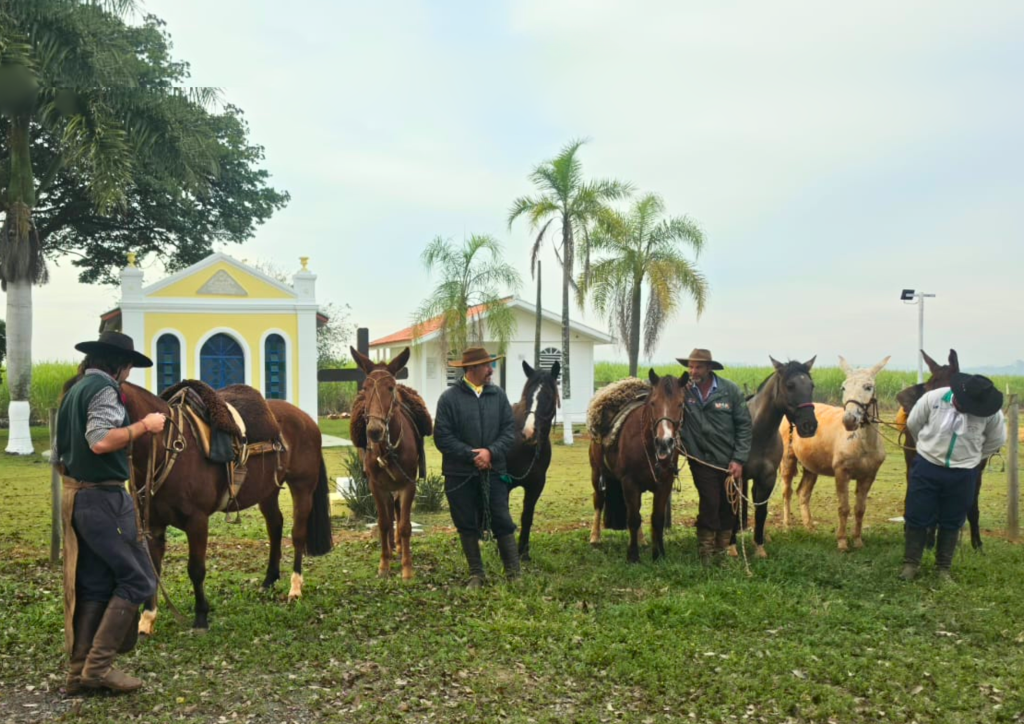 CAPELA DE SÃO JOÃO DO BEMFICA RECEBE SERVIÇOS DE REVITALIZAÇÃO E REFORÇA SUA IMPORTÂNCIA COMO BERÇO HISTÓRICO DE TATUÍ