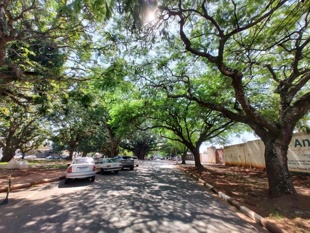 MEIO AMBIENTE: TATUÍ FIGURA ENTRE OS 30 MUNICÍPIOS PAULISTAS MAIS EFICIENTES EM SUSTENTABILIDADE NO PROGRAMA “MUNICÍPIO VERDEAZUL”