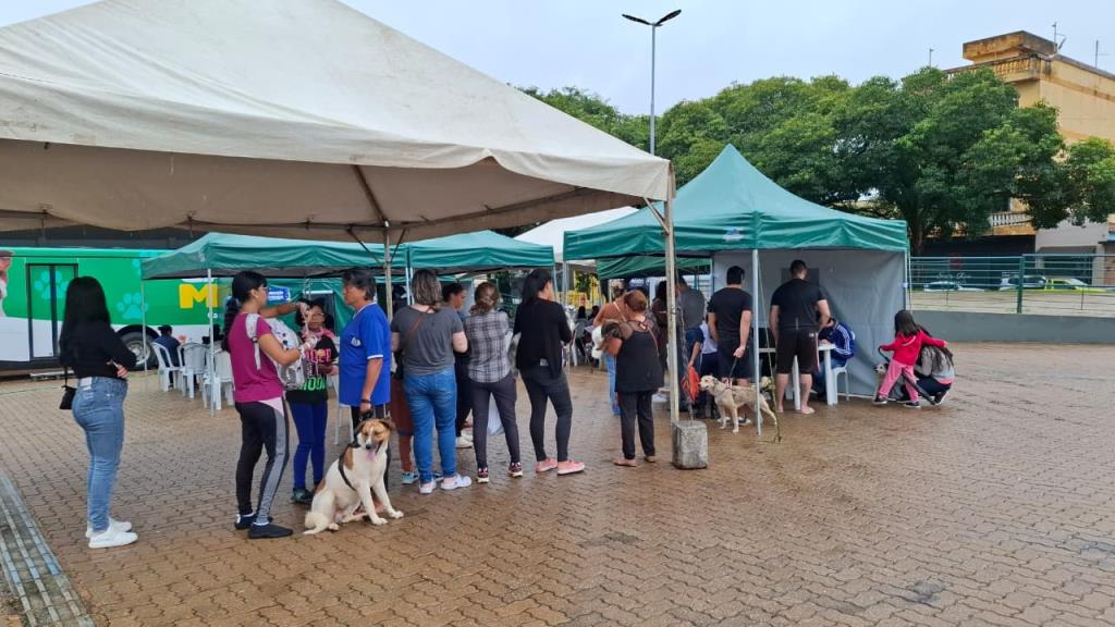 MUTIRÃO REALIZA MAIS DE 2 MIL CASTRAÇÕES GRATUITAS E REFORÇA AVANÇO NAS POLÍTICAS DE BEM-ESTAR ANIMAL EM TATUÍ