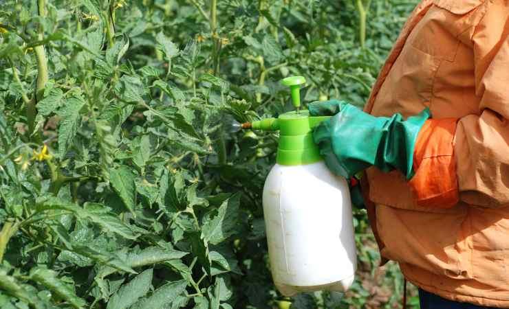 SINDICATO RURAL - CAPACITAÇÃO GRATUITA: AGROTÓXICOS-USO CORRETO E SEGURO PARA TRABALHADORES EM REGIME DE ECONOMIA FAMILIAR