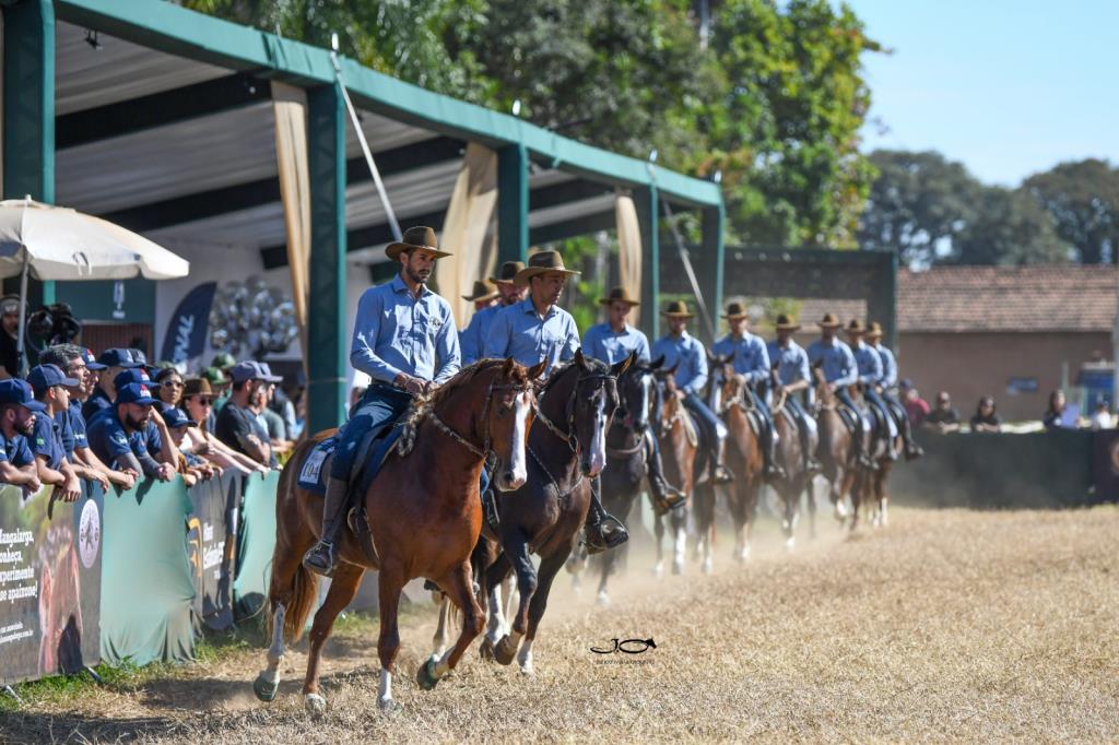 TATUÍ RECEBE A 48ª EXPOSIÇÃO NACIONAL DO CAVALO MANGALARGA EM MEIO À AGENDA DE GRANDES EVENTOS DE JULHO