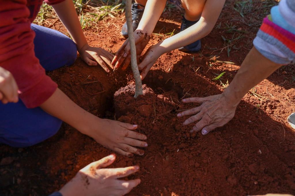 RETROSPECTIVA 2025: AVANÇOS AMBIENTAIS E FORTALECIMENTO DA AGROPECUÁRIA MARCAM O ANO EM TATUÍ