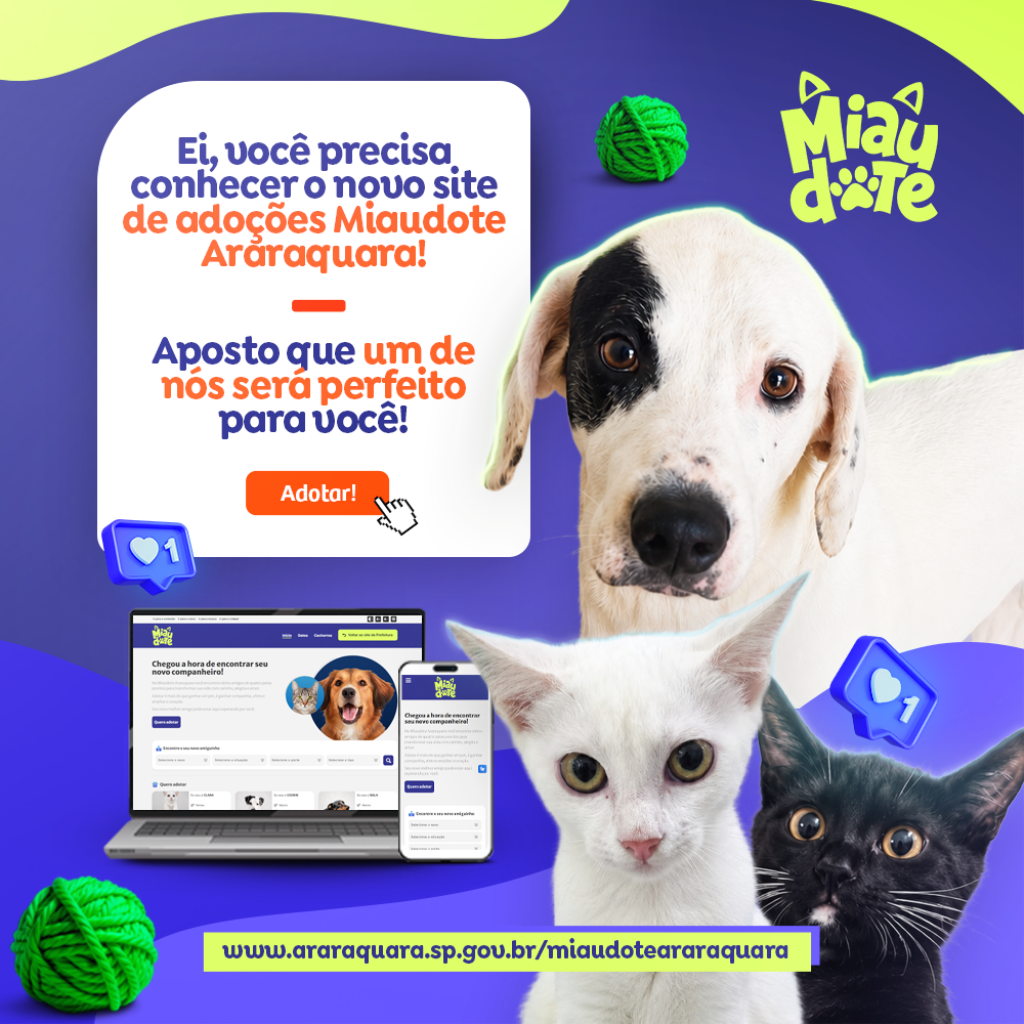 Prefeitura de Araraquara lança primeiro site de adoção de pets da cidade