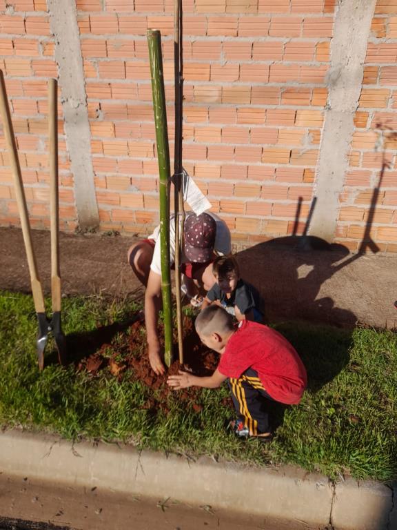 Projeto de Educação Ambiental incentiva alunos da rede municipal a plantar árvores