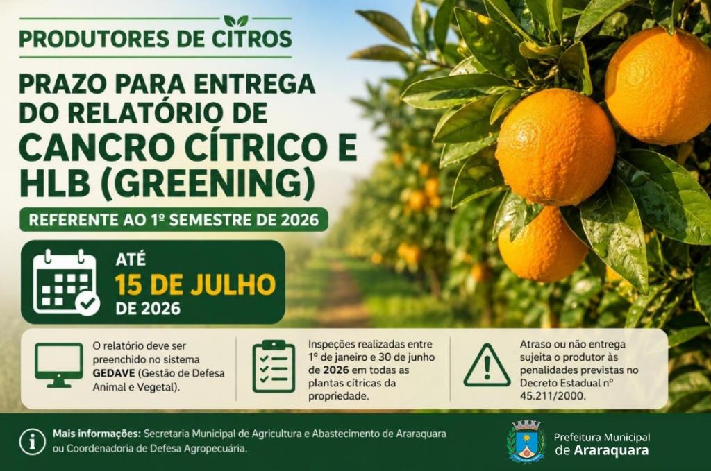 Produtores de citros têm até 15 de julho para entregar relatório de Cancro Cítrico e Greening