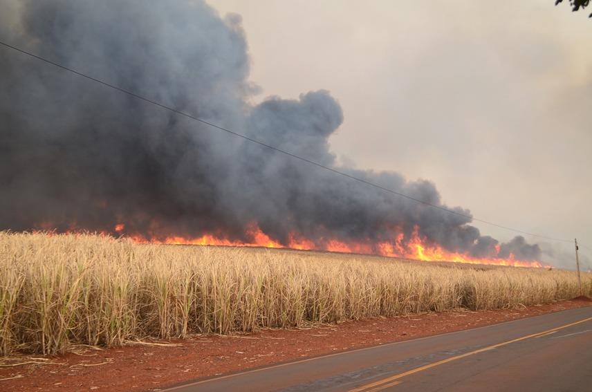 Defesa Civil de Araraquara participa de ações de prevenção a incêndios da Fundação ITESP