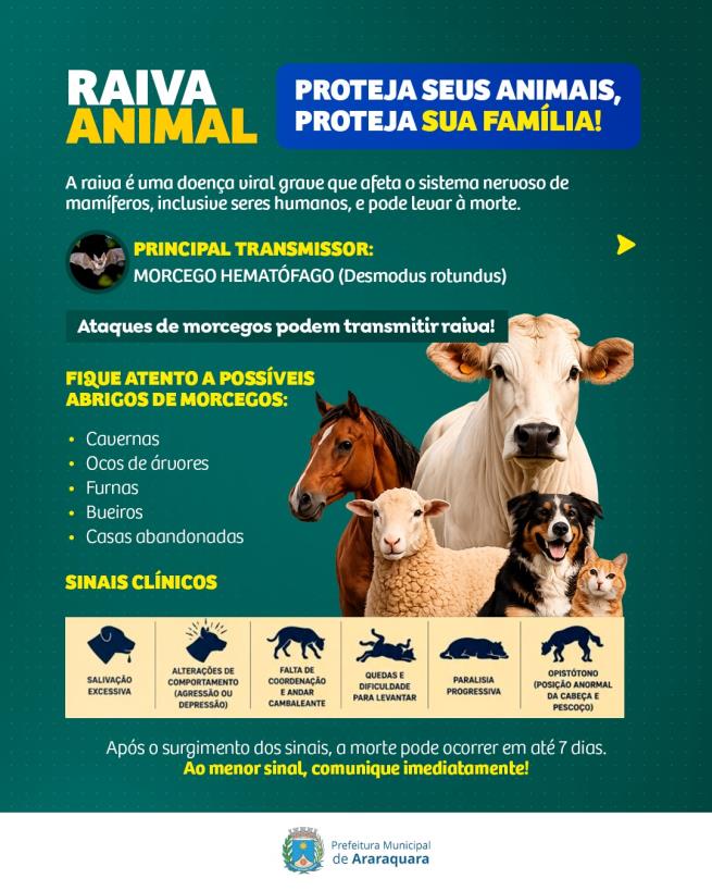 Raiva em animais: Defesa Agropecuária orienta produtores sobre prevenção e notificação de casos