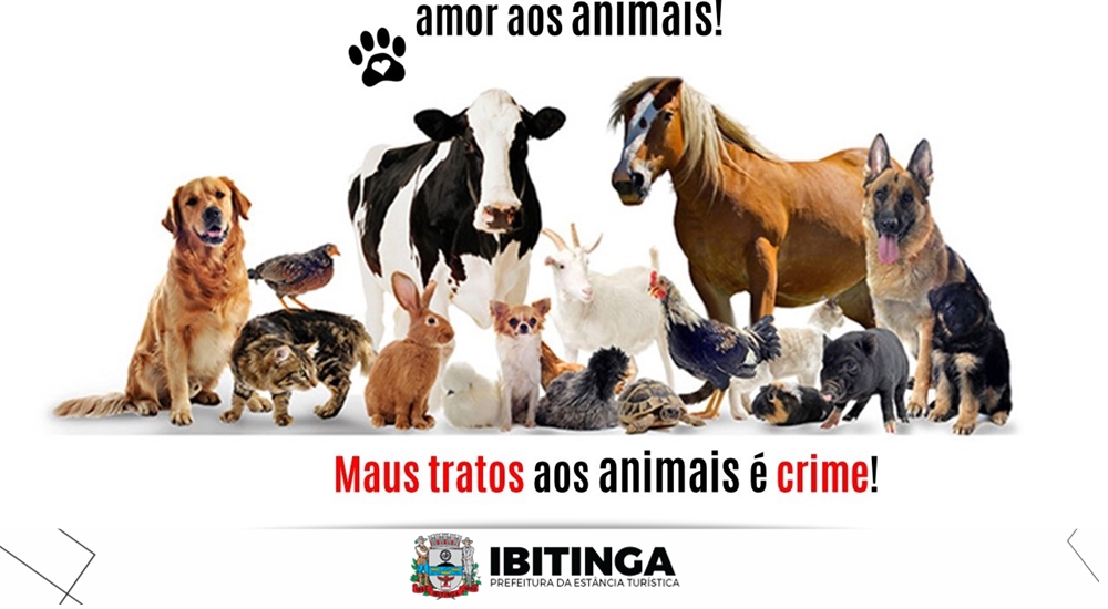 Abandono e maus-tratos aos animais é crime – CRMV-RJ