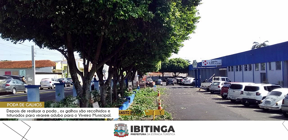 Zeladoria: prefeitura realiza poda e recolhimento de galhos nesta terça-feira
