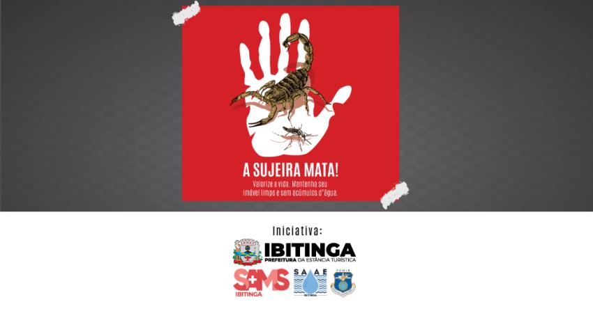 Limpeza é a chave para combater escorpiões e o mosquito da dengue