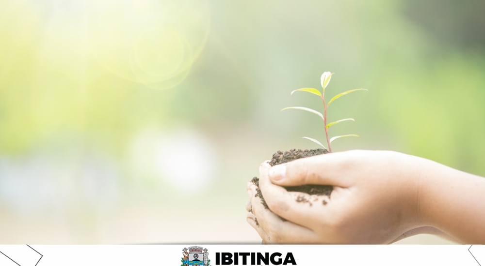 Vamos plantar Vida? Projeto foca no respeito ao meio ambiente