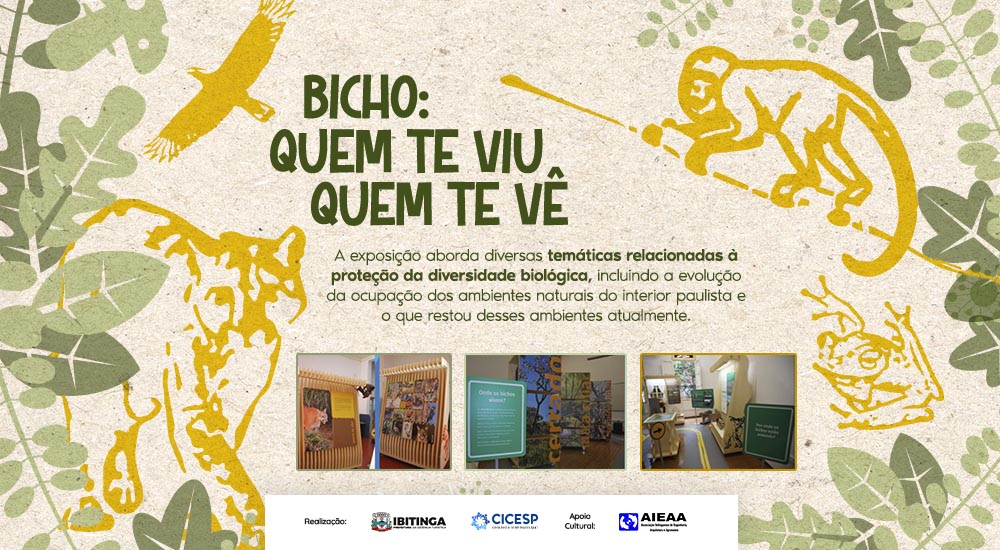 Exposição "Bicho: Quem te viu, quem te vê!" promove conscientização sobre a conservação da fauna em nossa região.