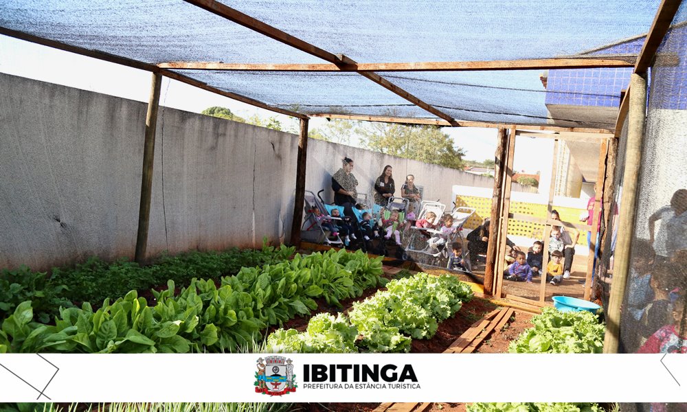 Educação: Projeto de ‘Horta Orgânica na escola’ tem primeira colheita