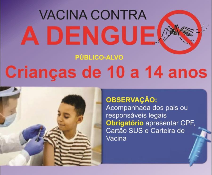 Vacinação contra a Dengue - Novembro 2024