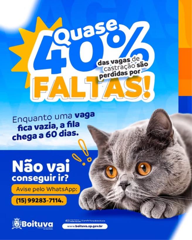 ALERTA IMPORTANTE