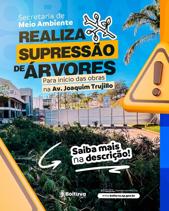 OBRAS EMERGENCIAIS DE RECONSTRUÇÃO DA TRAVESSIA