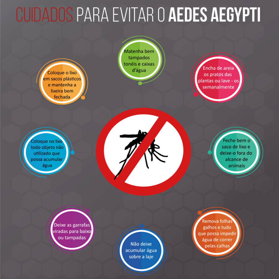 Prefeitura visita mais de 2.600 casas em campanha contra a dengue