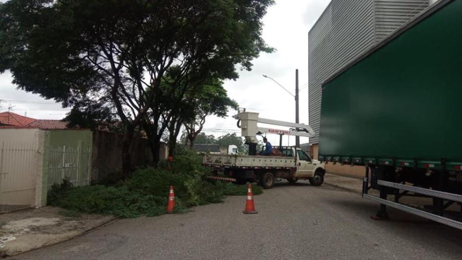 SECRETARIA DE MEIO AMBIENTE E AGRICULTURA REALIZA SERVIÇOS DE PREVENÇÃO E PODA