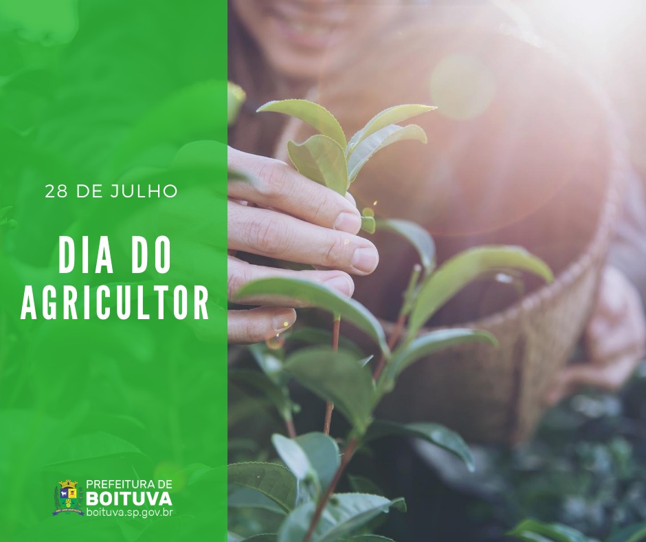 Cana de açúcar se destaca como a principal cultura em Boituva; Dia do Agricultor é celebrado nesta terça-feira (28)