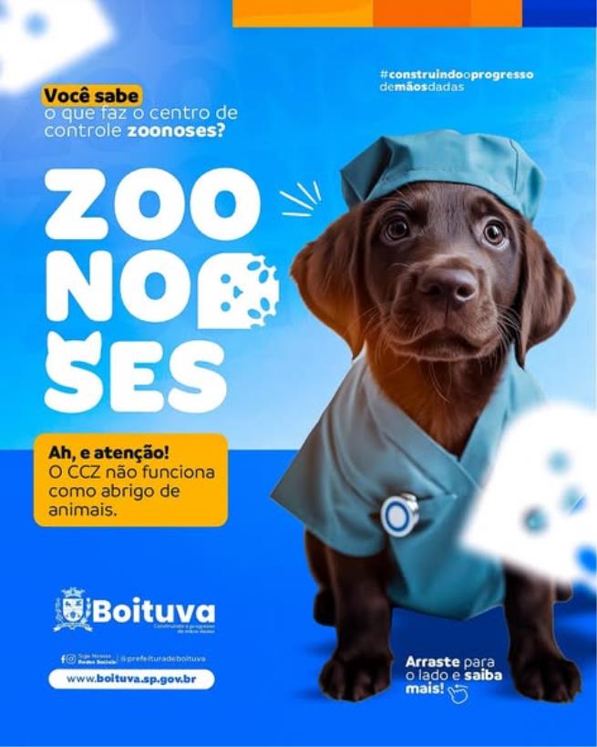 O VERDADEIRO PAPEL DO CCZ NA CIDADE