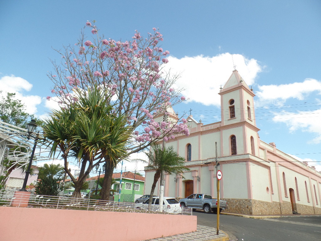 Porangaba