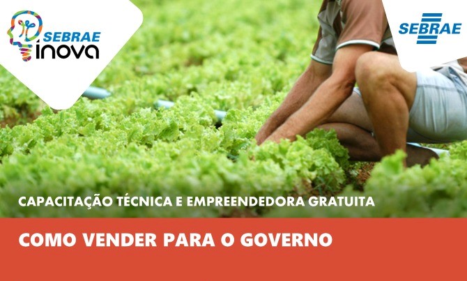 Município da Ilha e Sebrae anunciam inscrições abertas para as oficinas  “Como vender para o governo” e “Organização de vendas conjuntas” 