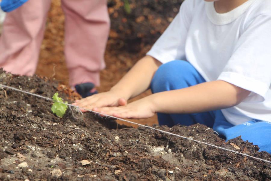 Mês do Meio Ambiente - Visitação à horta, Jardinagem e Jogos Educacionais compõem as Atividades dos Centros de Educação Infantil (CEIs)