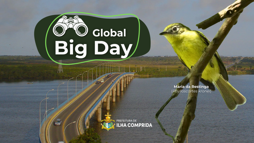 Participe da observação de aves no Global Big Day neste sábado (09/05)