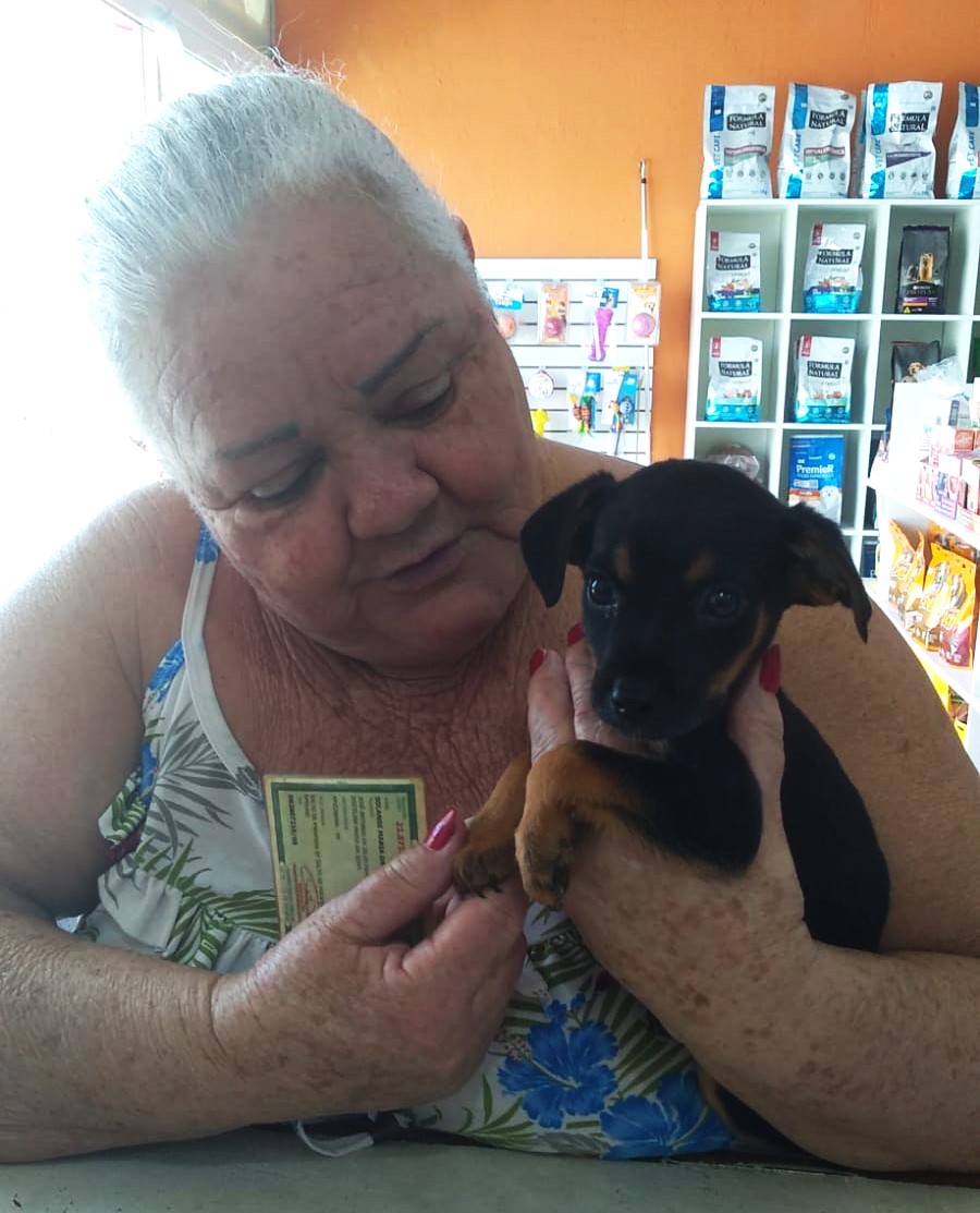 Divisão de Zoonoses da Ilha com muitos filhotinhos de cachorrinhos para adoção . Saiba como adotar.