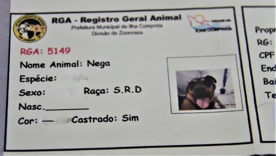 Saúde conta com serviço gratuito de castração e chipagem de cães e gatos