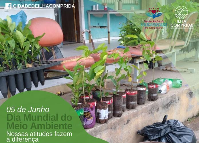 Troca de mudas por um quilo de alimento não perecível começa hoje 07/06 no Fundo Social de Solidariedade