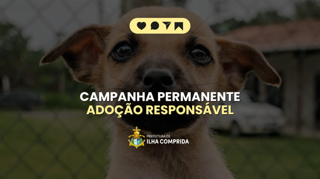 Prefeitura de Ilha Comprida promove campanha permanente de adoção responsável de animais