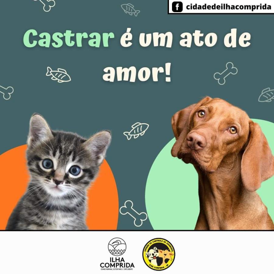 Inscrições para a Campanha de Castração de Cães e Gatos podem ser feitas até a terça 10/10, na USF Araçá