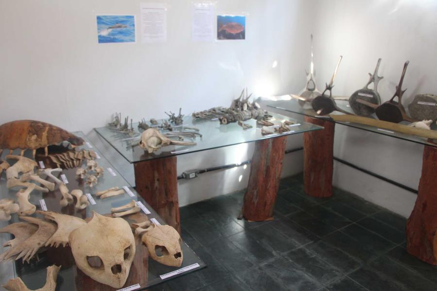 Centro Municipal de Educação Ambiental (CEA) a Ilha está aberto à visitação na Av. Copacabana