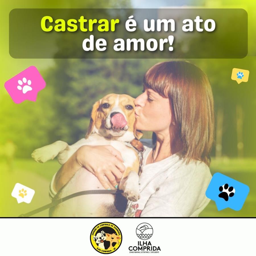 Município da Ilha recebe inscrições para a Campanha de Castração de Cães e Gatos no Boqueirão Sul nesta sexta 21/09
