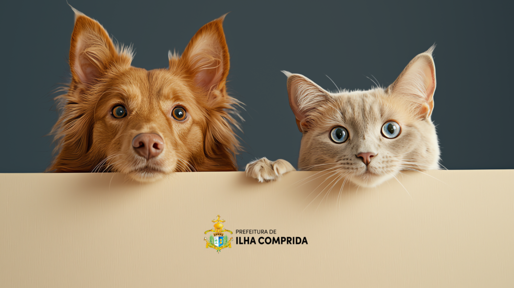 Castração Gratuita Animal em Ilha Comprida