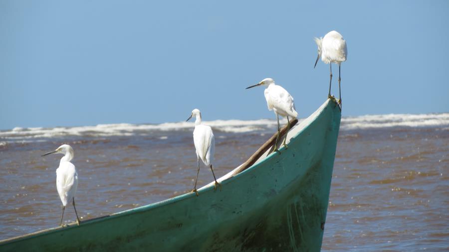 Ilha lança sondagem junto aos empresários da área de turismo para avaliar impacto da crise e receber sugestões do setor
