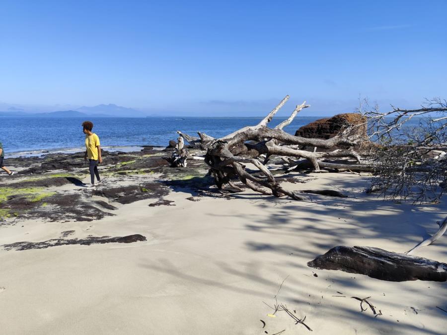 Turismo- Conheça os encantos e espetáculos do Sul da Ilha