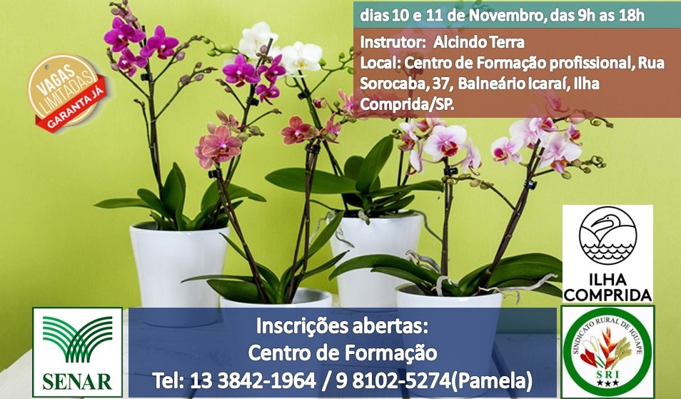 Estão abertas as inscrições presenciais para o curso Cultivo de  Orquídea