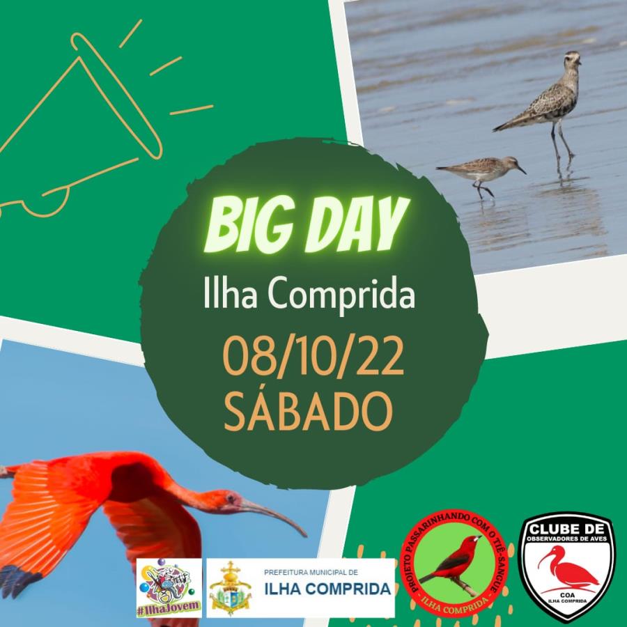 Big Day no sábado 08/10 com passeio de observação de aves, palestra, workshop, aula de Fotografia e bate papo 