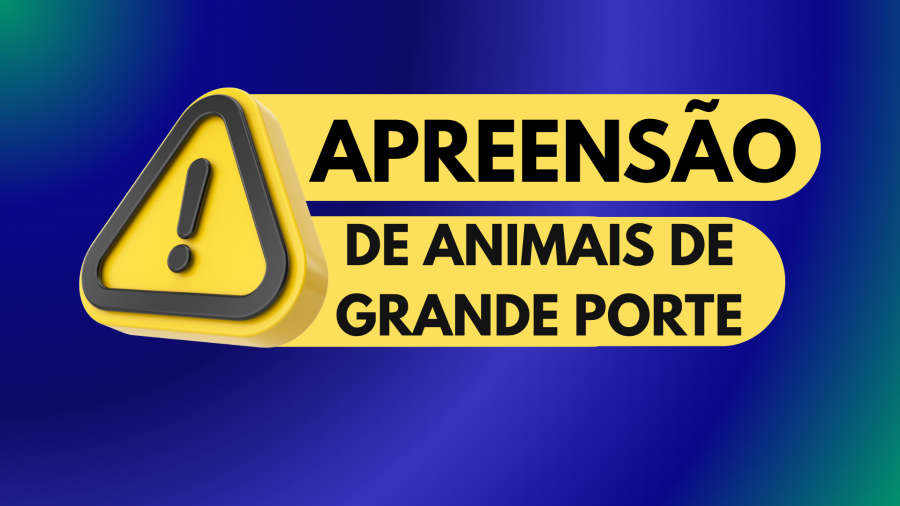 A Prefeitura de Guariba, em parceria com o DER, vai recolher todos os cavalos e outros animais de grande porte que estiverem soltos nas ruas e estradas da cidade.